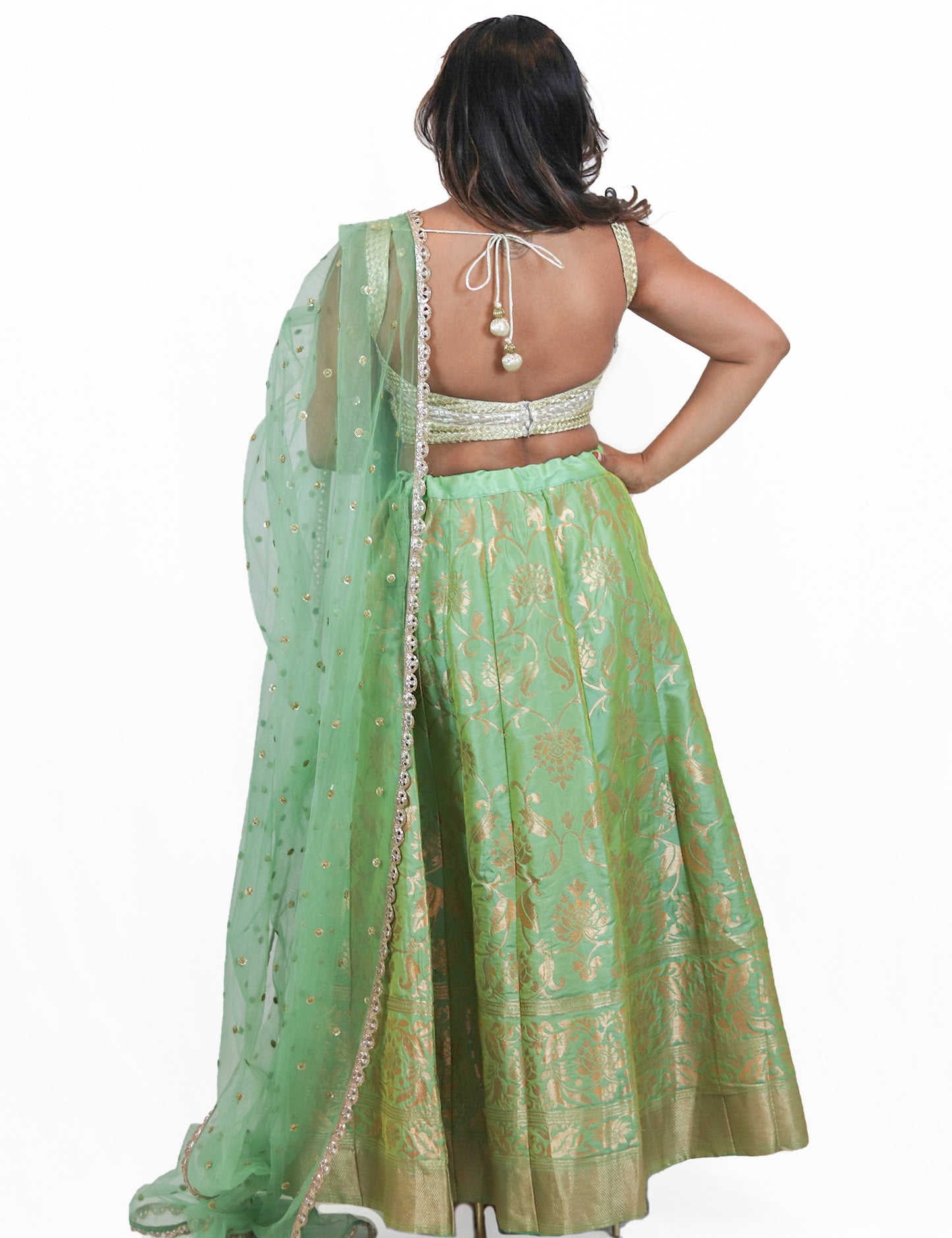 Rent Pistachio Green Brocade Lehenga & Mix Tone Blouse With Tulle Dupatta