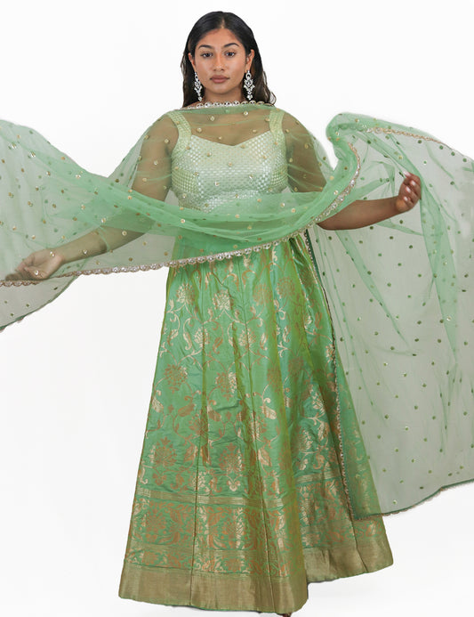 Rent Pistachio Green Brocade Lehenga & Mix Tone Blouse With Tulle Dupatta